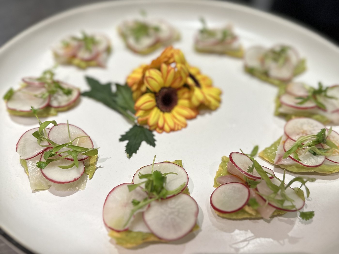 A white plate of hamachi and radish canap&eacute;s finished with micro herbs and an edible flower