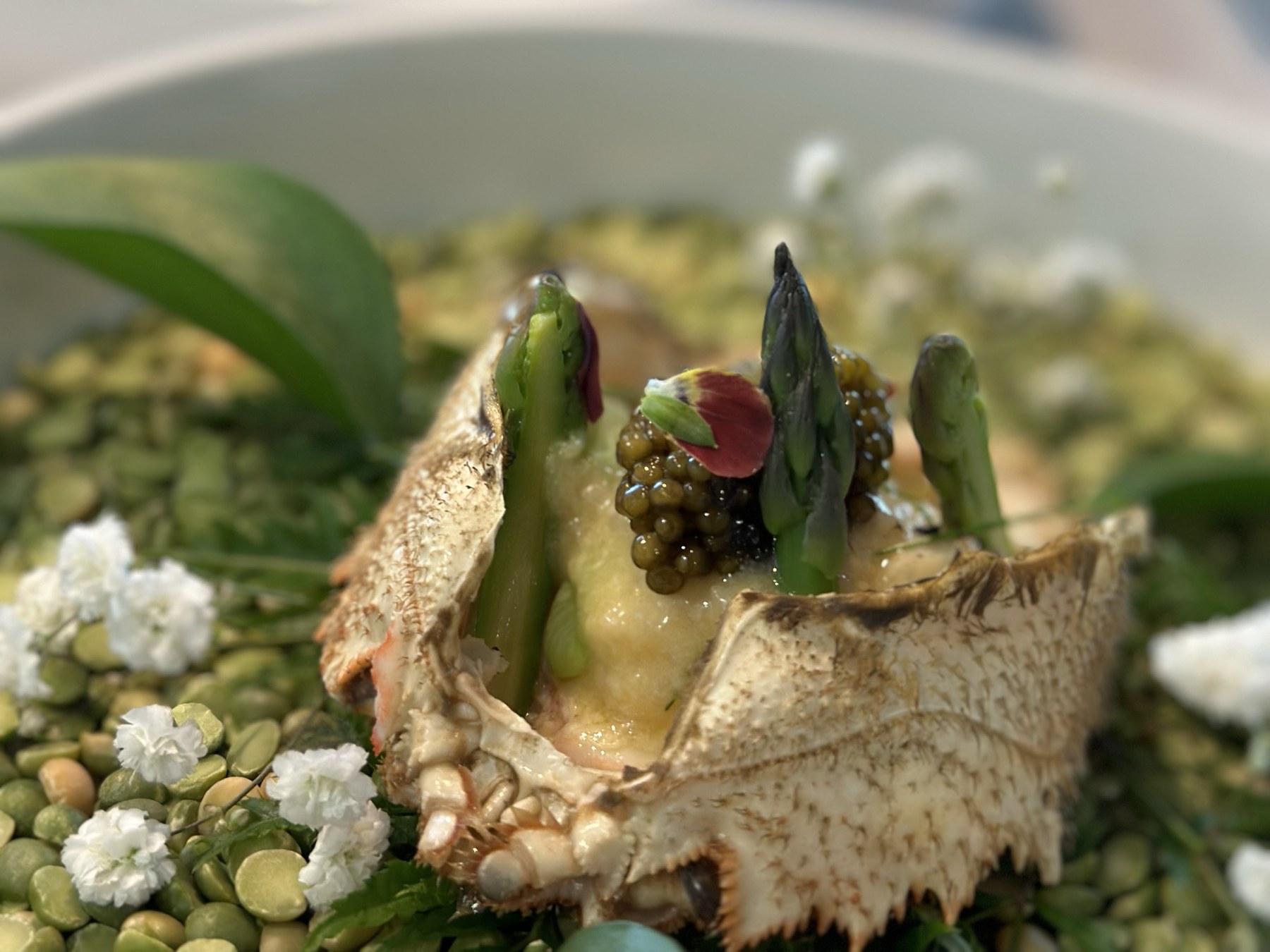 A crab shell filled and gratinated, topped with caviar, asparagus tips and an edible flower, set on a bed of split peas and herbs